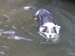 loves the water