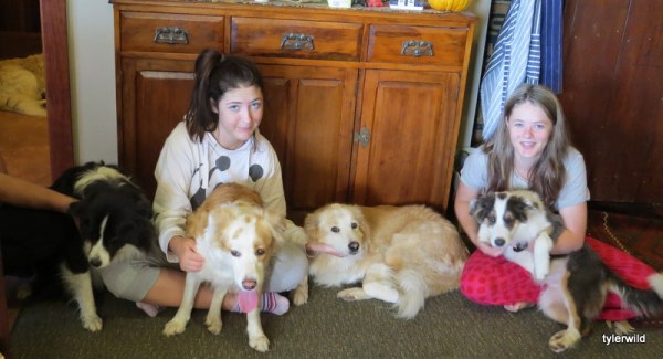 2014 Four Generations