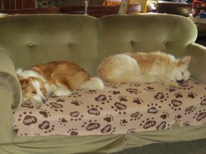 Shiraz chilling out with her Dad- Hoons