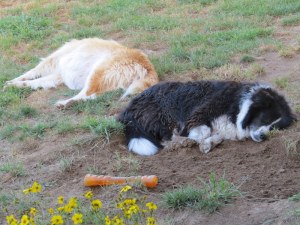 Tui & her Mum Trinity 