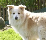 2005-09-21 Hooney Man