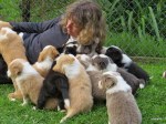 me and pups