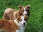 Lani and Bear