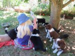 listen-here-pups