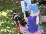 phoebe-reading-to-the-pups