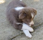 cross my legs and&nbsp;promise