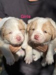 Girls