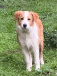 IMG_1298