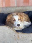 IMG_8718